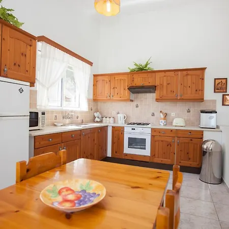 Вилла The Olive Grove Private Pool With Star Links Wifi Теологос